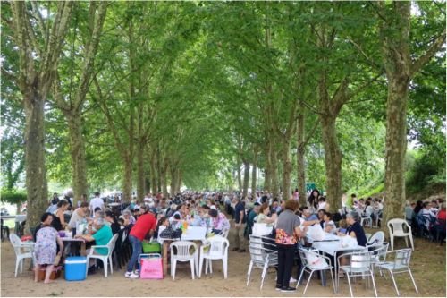 DIA DOS AV&Oacute;S 2024 I PARQUE DA CIDADE DE PAREDES