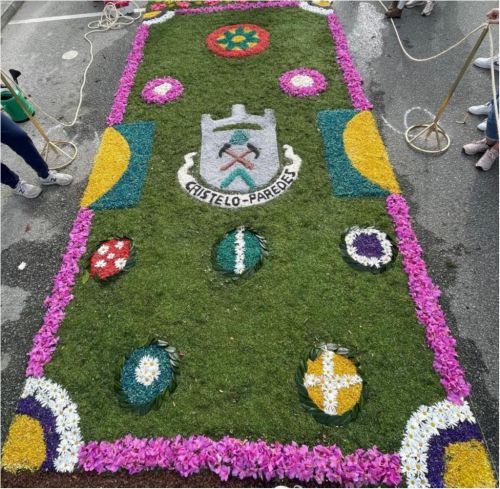 PRIMAVERA FESTIVAL DA FLOR - TAPETE DE FLORES