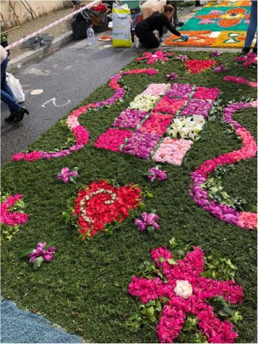 PRIMAVERA FESTIVAL DA FLOR - TAPETE DE FLORES