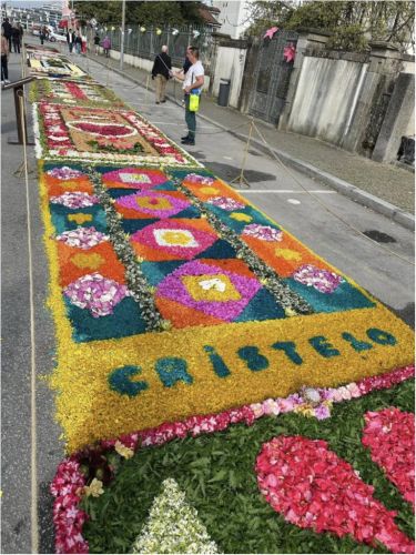 PRIMAVERA FESTIVAL DA FLOR - TAPETE DE FLORES - CHAP&Eacute;US DE FLORES
